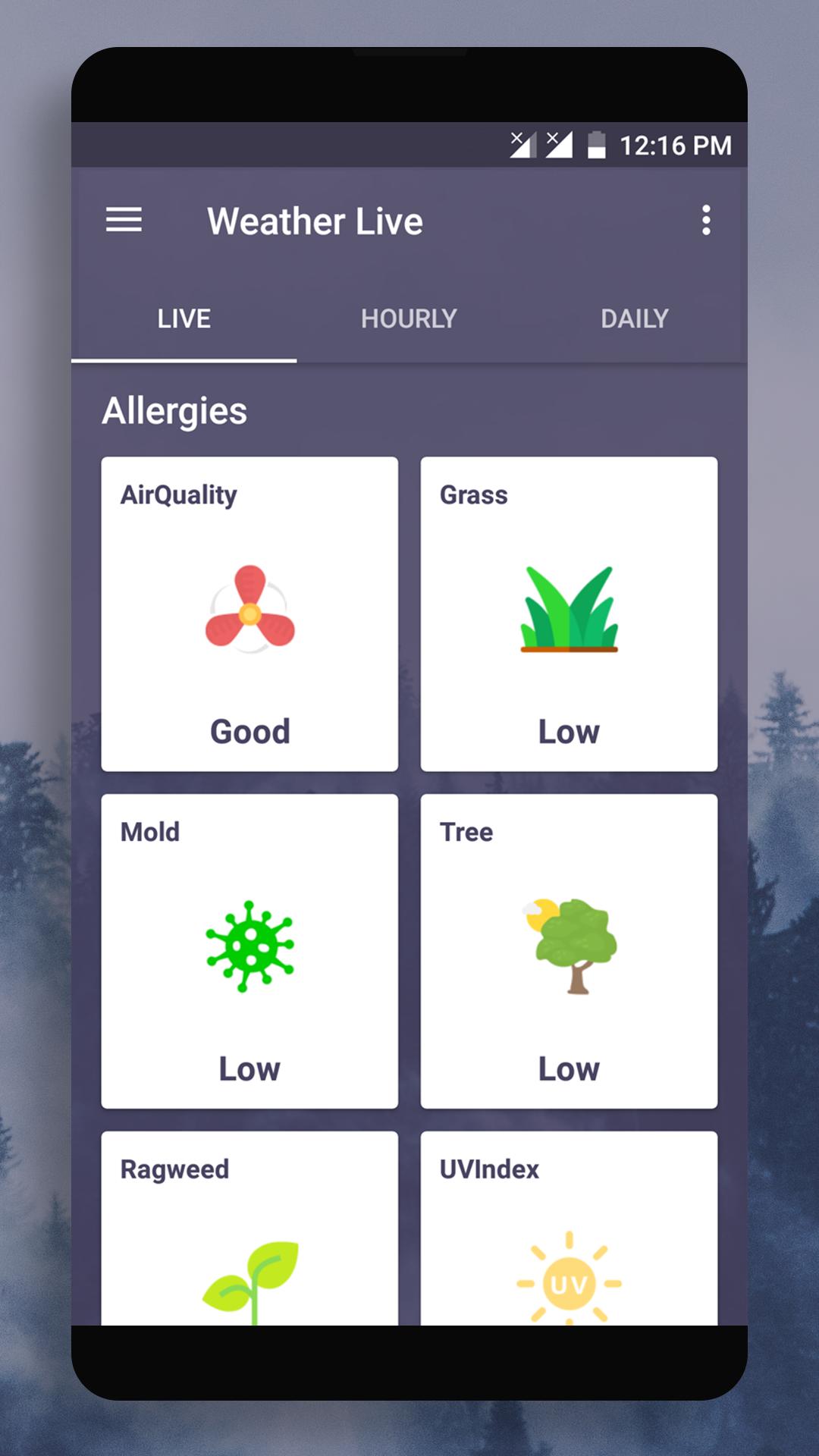 Daily Weather - Radar & Foreca