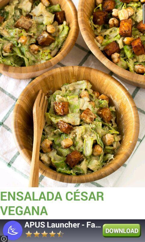 Recipes for vegetarians