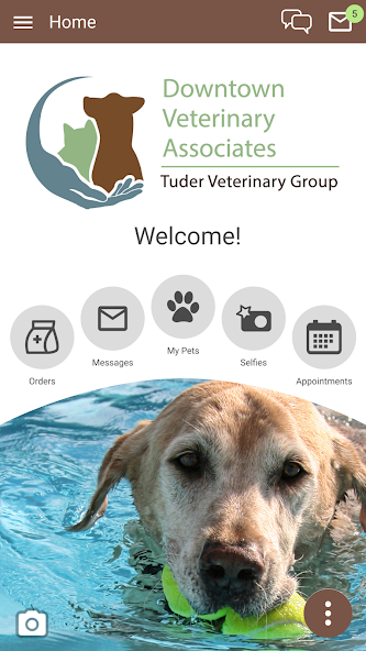 Downtown Veterinary Assoc