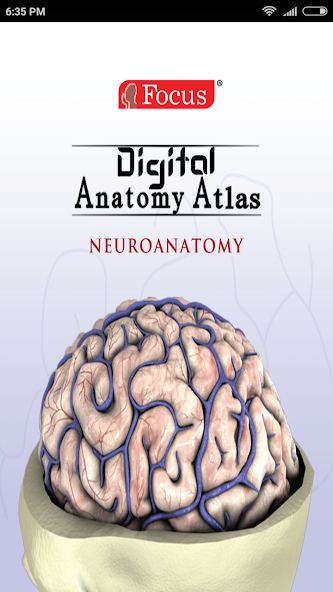 NEUROANATOMY - Digital Atlas