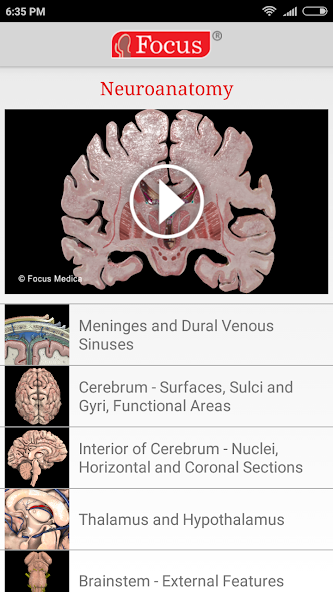 NEUROANATOMY - Digital Atlas