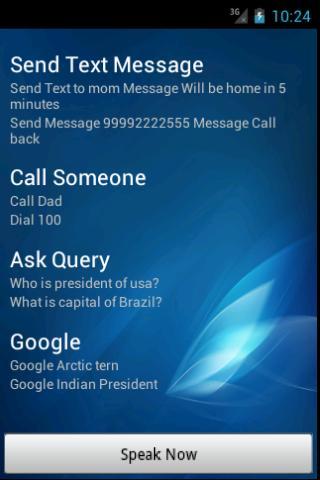 True Budd- Voice Assistant