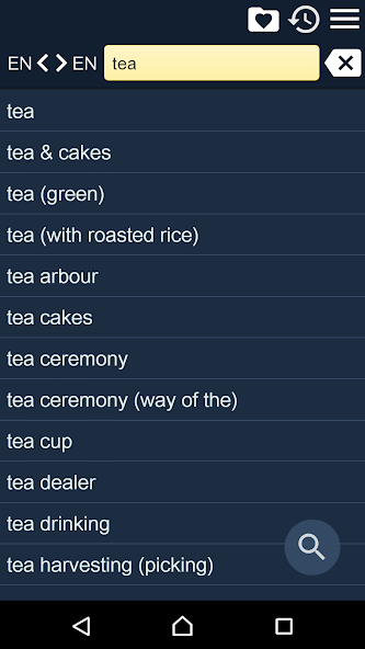 English Japanese Dictionary RF