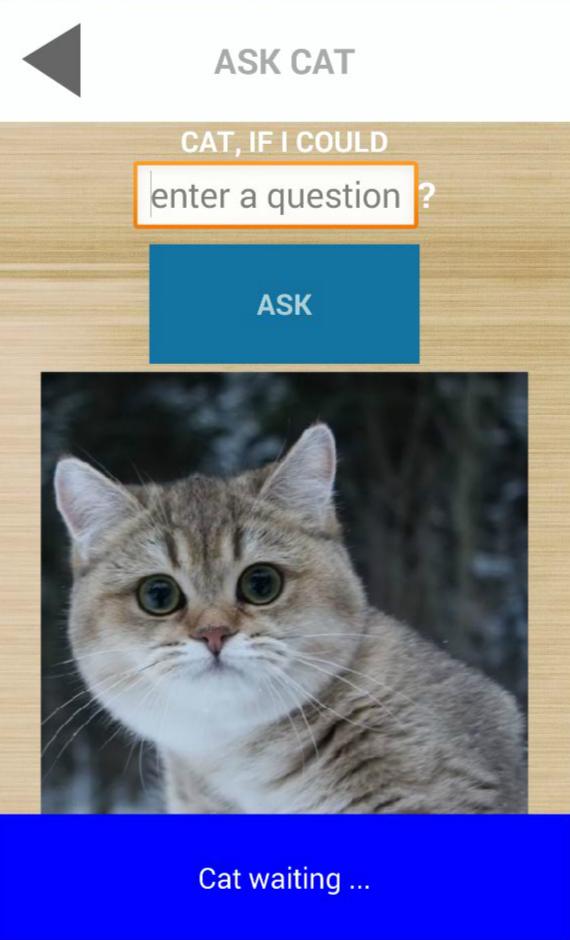 Cat assistant simulator