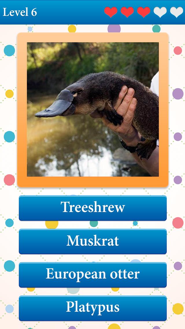 What is the name of an animal?