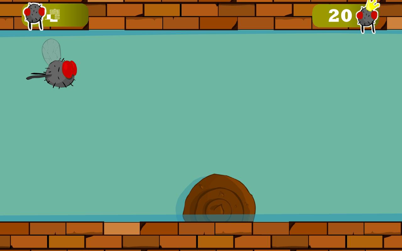 Steve The Polite Fly