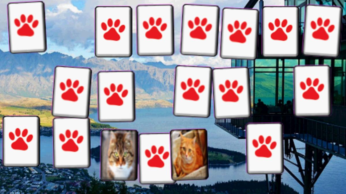 Memoria Gatos Tubers