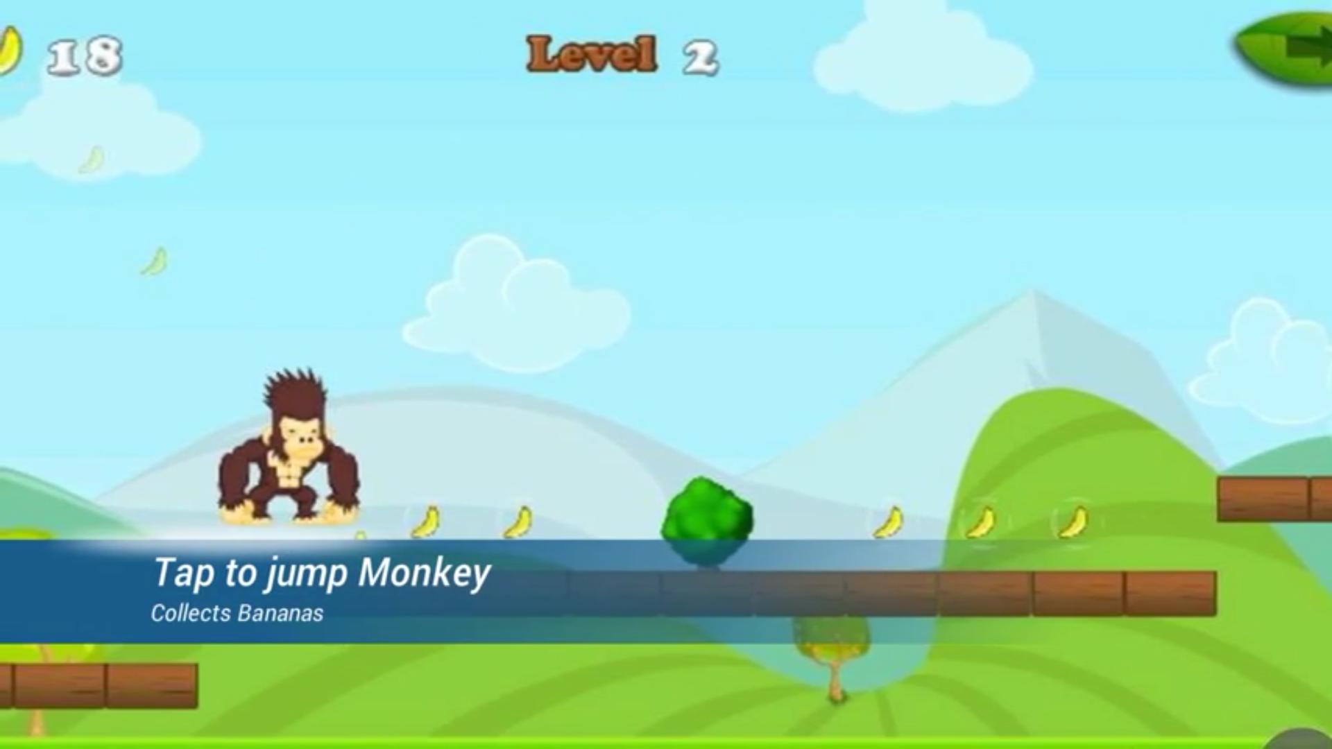 MONKEY ADVENTURES