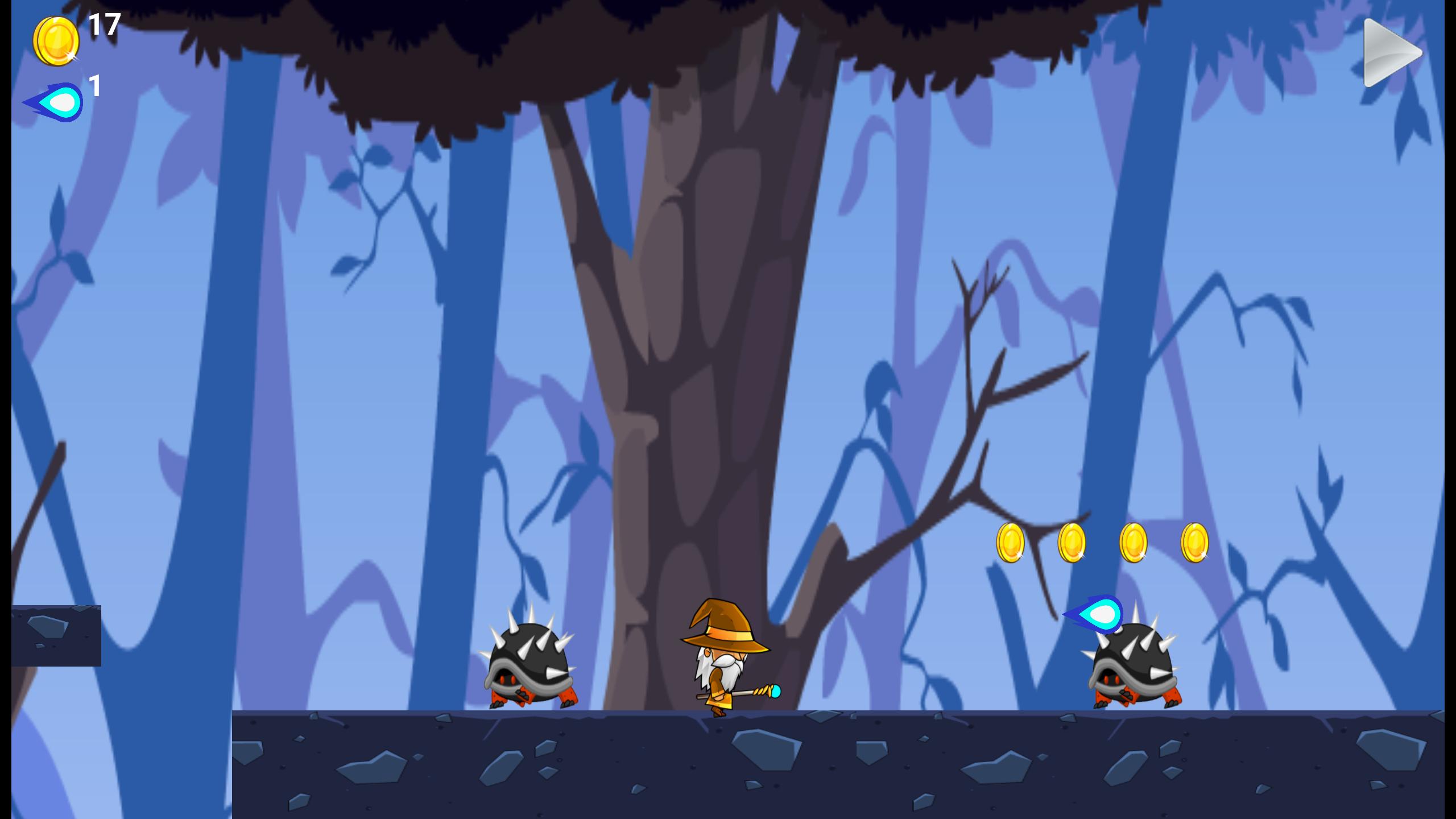 Wizard Run Adventure