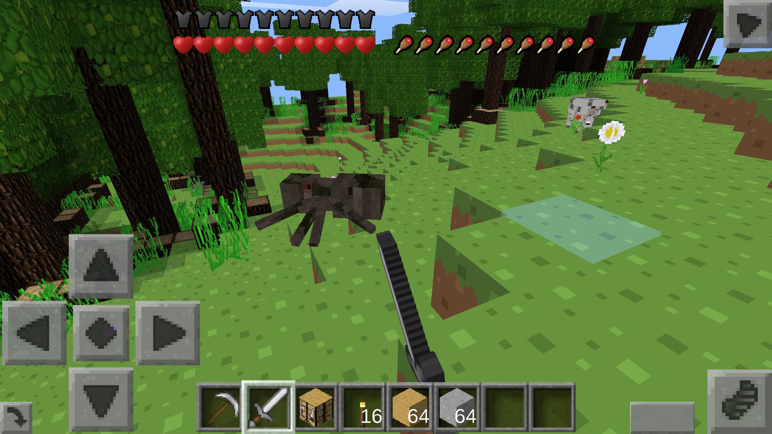 Play survival craft